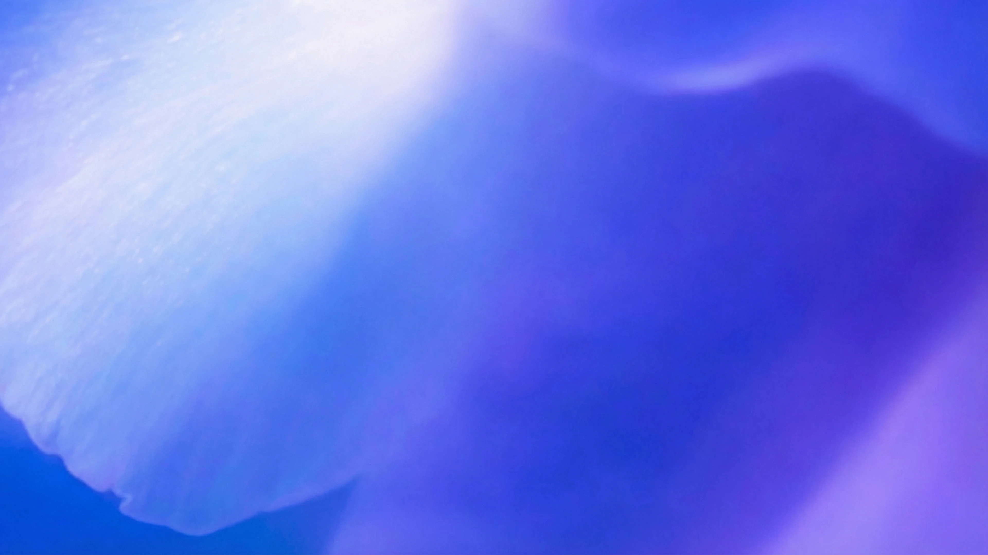 Soft abstract shapes in blue and violet with a pale luminous sweep